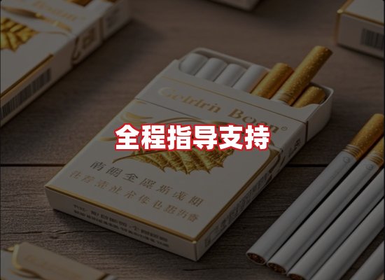 专业团队